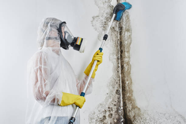 Best Mold Removal and Inspection  in Sherwood, OR