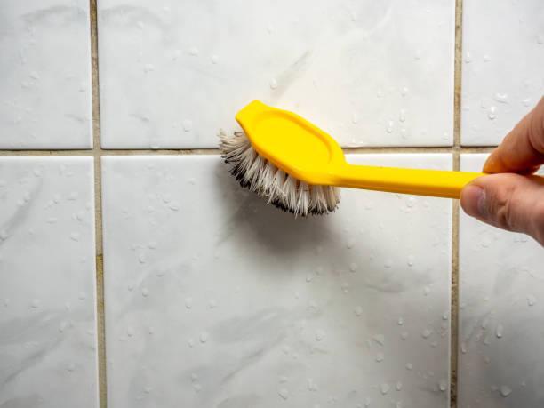 Best Local Mold Removal Service  in Sherwood, OR