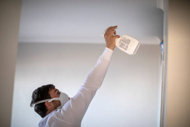 Best Attic Mold Removal  in Sherwood, OR