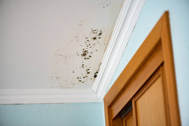 Water Damage Restoration in Sherwood, OR