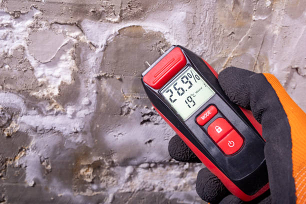 Best Crawl Space Mold Removal  in Sherwood, OR