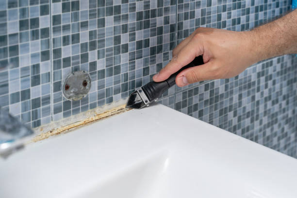 Home Mold Removal in Sherwood, OR