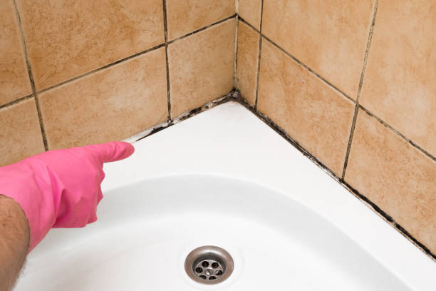 Best Emergency Mold Removal  in Sherwood, OR